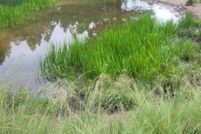 Property for sale in Otero County, New Mexico