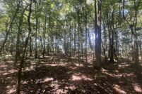 Undeveloped Land for sale in Coffee County, Alabama