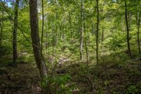 Undeveloped Land for sale in Ross County, Ohio