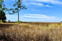 Property for sale in Camden County, Georgia