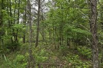 Undeveloped Land for sale in Juneau County, Wisconsin