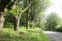 Undeveloped Land for sale in Ulster County, New York
