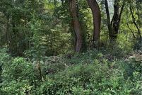 Undeveloped Land for sale in Rockdale County, Georgia