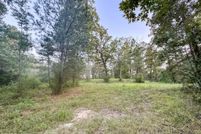 Undeveloped Land for sale in Evangeline Parish, Louisiana