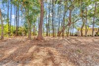 Property for sale in Georgetown County, South Carolina