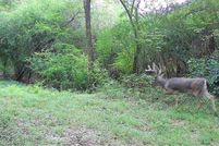 Property for sale in Rankin County, Mississippi