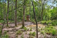 Undeveloped Land for sale in Jasper County, Texas