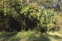 Undeveloped Land for sale in Sumter County, Florida