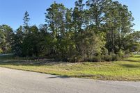 Undeveloped Land for sale in Marion County, Florida
