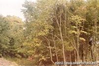 Property for sale in Floyd County, Indiana