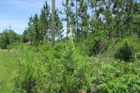 Farm Property for sale in Nassau County, Florida