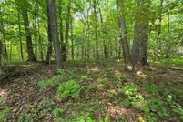 Undeveloped Land for sale in Polk County, Wisconsin