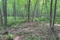 Undeveloped Land for sale in Barron County, Wisconsin
