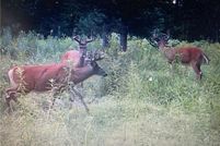 Residential Property for sale in Rusk County, Wisconsin