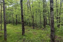Undeveloped Land for sale in Price County, Wisconsin