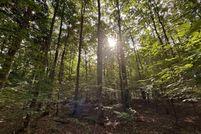 Farm Property for sale in Benzie County, Michigan