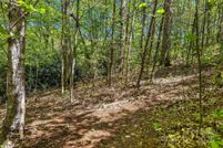 Property for sale in Buncombe County, North Carolina
