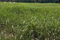 Property for sale in Izard County, Arkansas