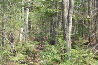 Undeveloped Land for sale in Alger County, Michigan
