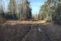 Undeveloped Land for sale in Alger County, Michigan