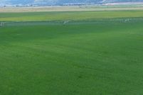 Property for sale in Modoc County, California