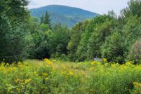 Undeveloped Land for sale in Coos County, New Hampshire