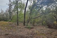 Undeveloped Land for sale in Hillsborough County, Florida