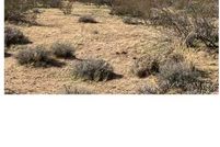 Property for sale in Mohave County, Arizona
