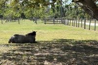 Property for sale in Lee County, Florida