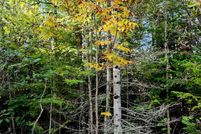 Recreational Property for sale in Kalkaska County, Michigan