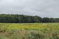 Property for sale in Ogemaw County, Michigan