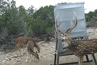 Property for sale in Edwards County, Texas