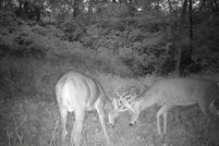 Property for sale in Richland County, Wisconsin