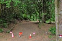 Property for sale in Lane County, Oregon