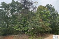 Property for sale in Henry County, Virginia