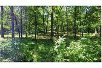 Property for sale in Pulaski County, Arkansas