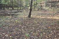 Property for sale in Gladwin County, Michigan