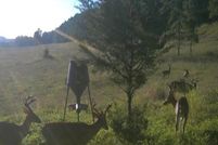 Undeveloped Land for sale in Howard County, Arkansas