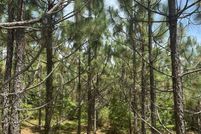 Property for sale in Choctaw County, Alabama