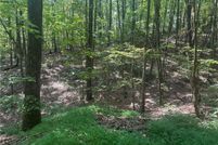 Undeveloped Land for sale in Pickens County, Georgia