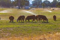 Property for sale in Tehama County, California