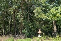 Undeveloped Land for sale in Carroll County, Arkansas