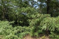 Property for sale in Carroll County, Arkansas