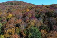 Undeveloped Land for sale in Rutland County, Vermont