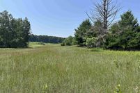 Undeveloped Land for sale in Leelanau County, Michigan