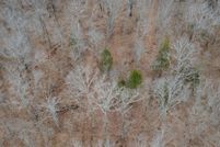 Lakefront Property for sale in Hickory County, Missouri