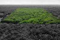 Undeveloped Land for sale in Boone County, Missouri