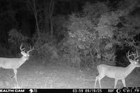 Waterfront Property for sale in Smith County, Texas