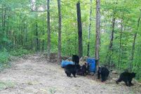 Property for sale in Madison County, Arkansas