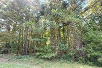Undeveloped Land for sale in Elbert County, Georgia